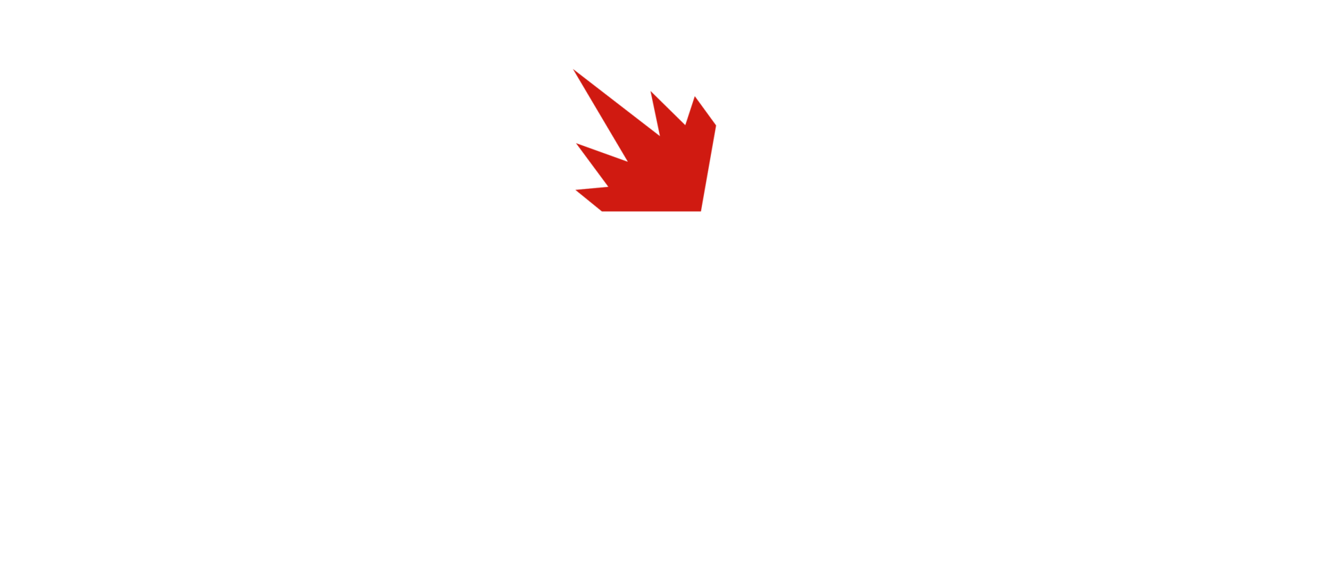 Logo vopertesa blanco px